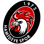Düzce Hamidiyespor