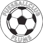 FC Flums 2 logo