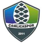 Bursa Çamlıcaspor