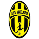 Yalova Anadoluspor