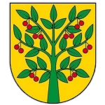 Amazonka Wiśniew logo