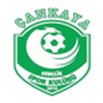 Çankaya Çınarspor