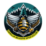 Çamoluk Belediyespor