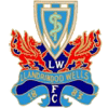 Llandrindod Wells FC logo