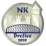 NK Brežice 1919 U19