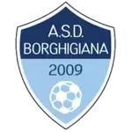 A.S.D Borghigiana
