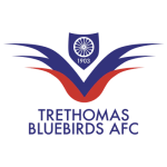 Trethomas Bluebirds
