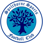 Spelthorne Sports FC