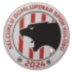 Selçuklu Dumlupınarspor