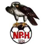 Nilsiän Pallo-Haukat