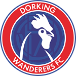Dorking Wanderers B