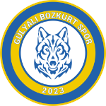 Gülyalı Bozkurtspor