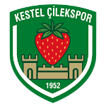 Kestel Çilekspor