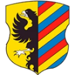 Legion Nesvizh