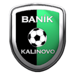 TJ Baník Kalinovo logo