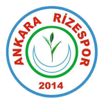 Ankara Rize Gençlikspor