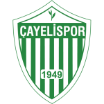 Çayeli Spor logo