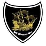 Blossom Way Rovers FC