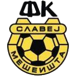 FK Slavej
