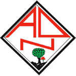 AD Nogueirense logo