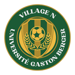 Village N