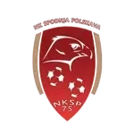 NK Spodnja Polskava logo