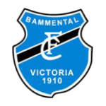 FC Victoria Bammental