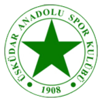 Üsküdar Anadolu SK