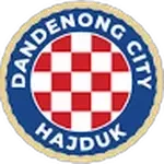 Dandenong City FC