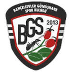 Bahçelievler Gümüşhane Spor