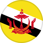 Brunei Darussalam U20 logo