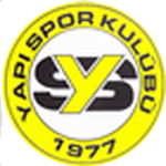 Ankara Yapıspor logo