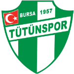 Bursa Tütünspor logo