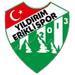 Yıldırım Erikli Gençlikspor logo