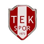 Sakarya TEK