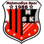Mahmudiyespor