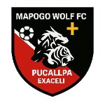Mapogo Wolf FC